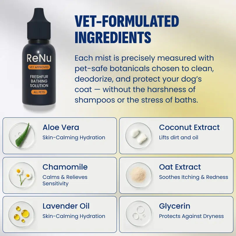 Starter Grooming Kit